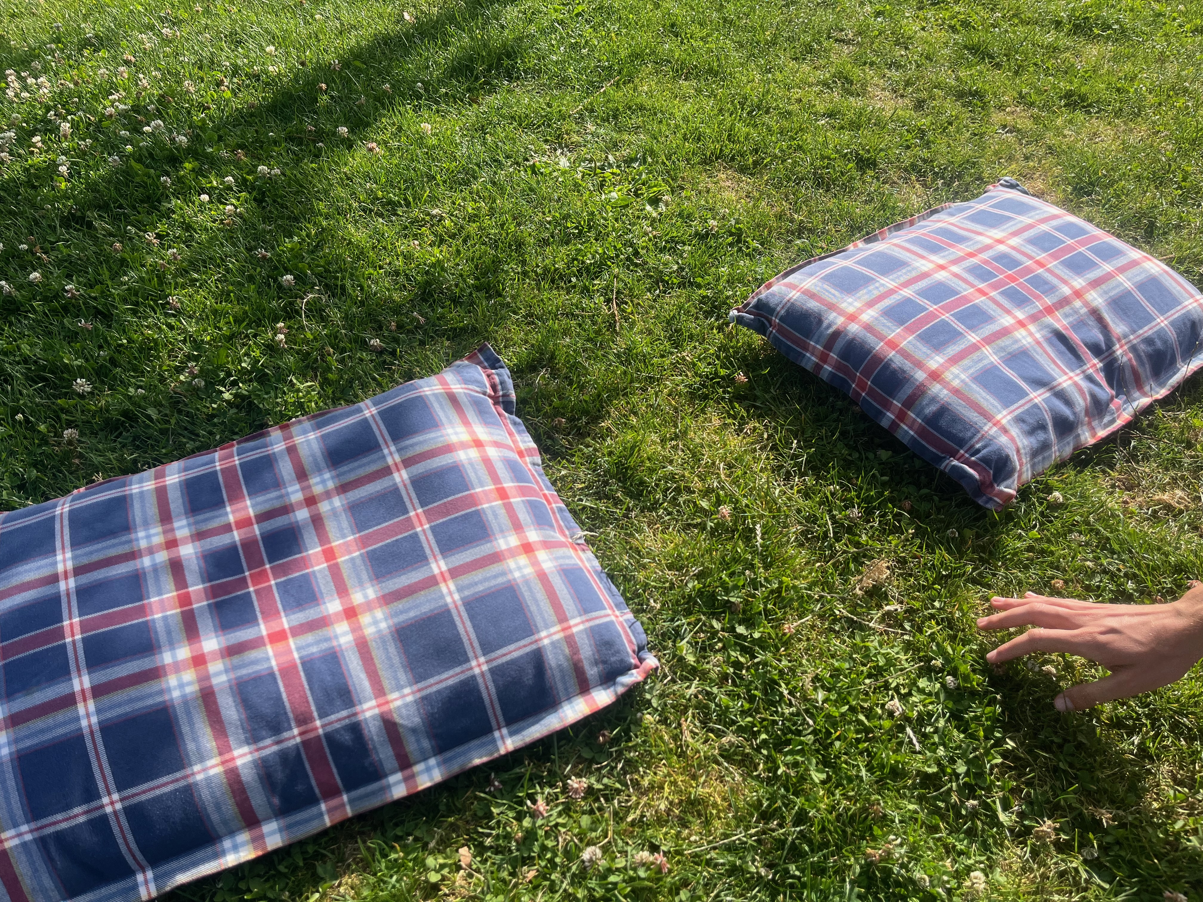 pillows on the grass