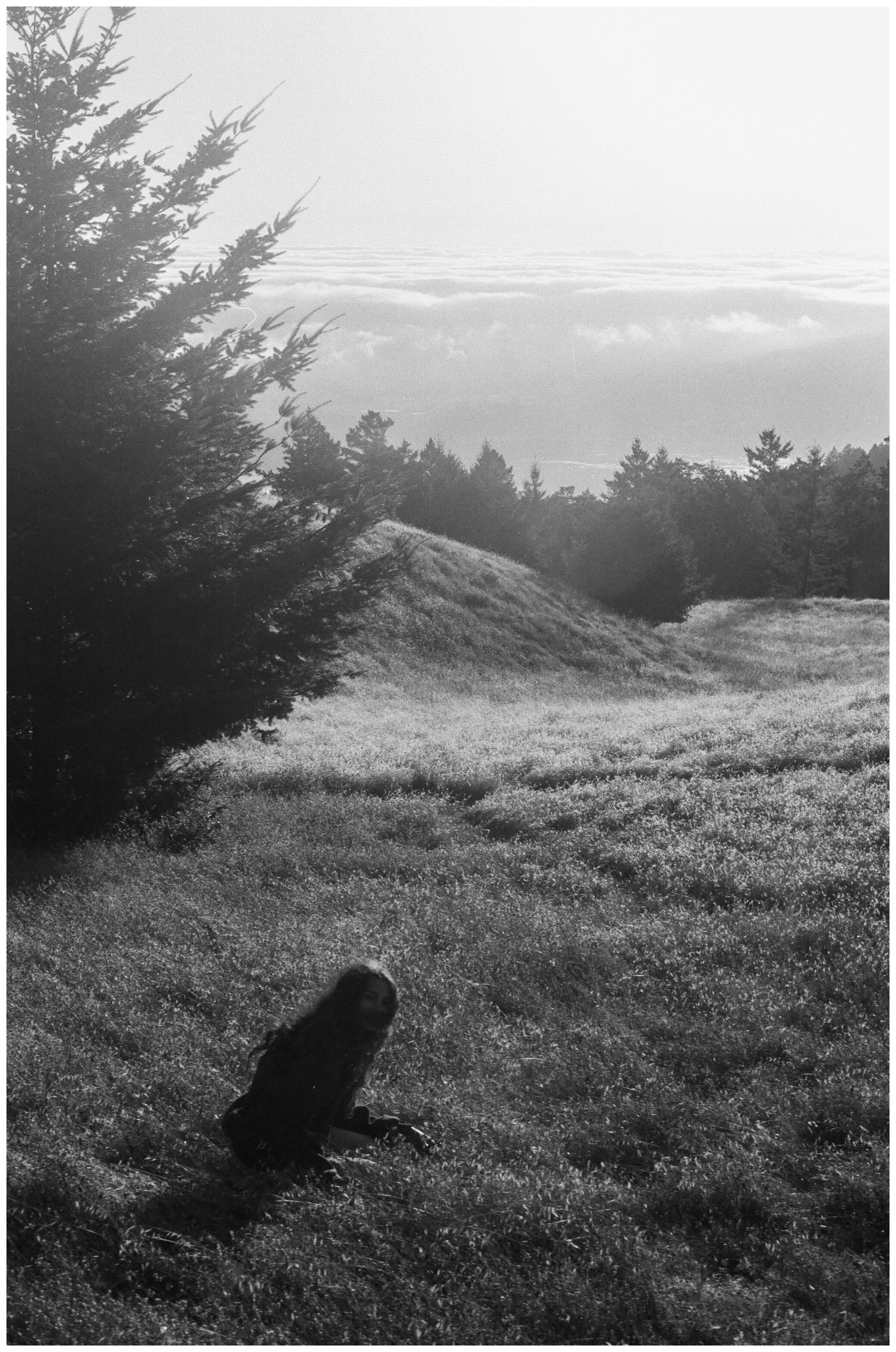 oj frolicking in the marin headlands